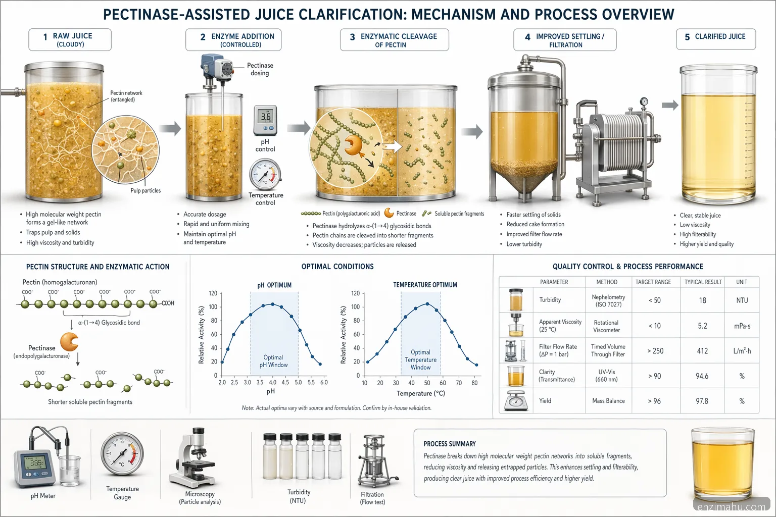 enzim supplier for juice clarification pectinase process diagram showing pH, heat, reaction flow and QC checks